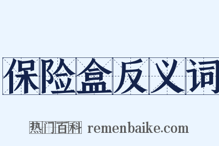 保险盒反义词是什么意思的图片
